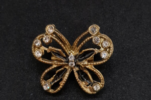 Stony Ribbon and Brooch